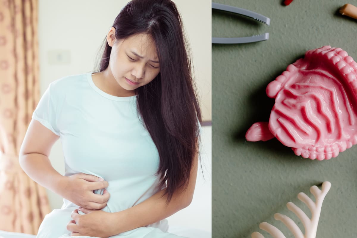Microbios intestinales: clave en la fuerza muscular y la longevidad