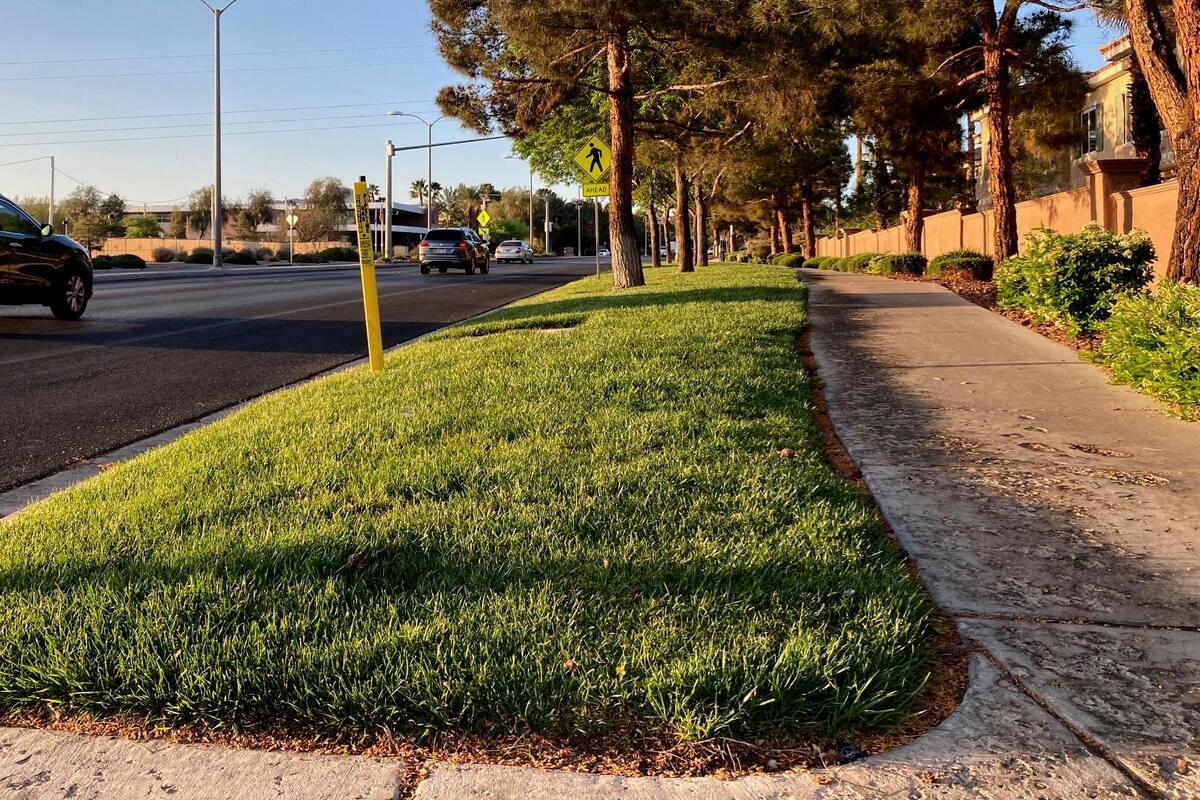 Proponen reducir el césped para ahorrar agua en Las Vegas