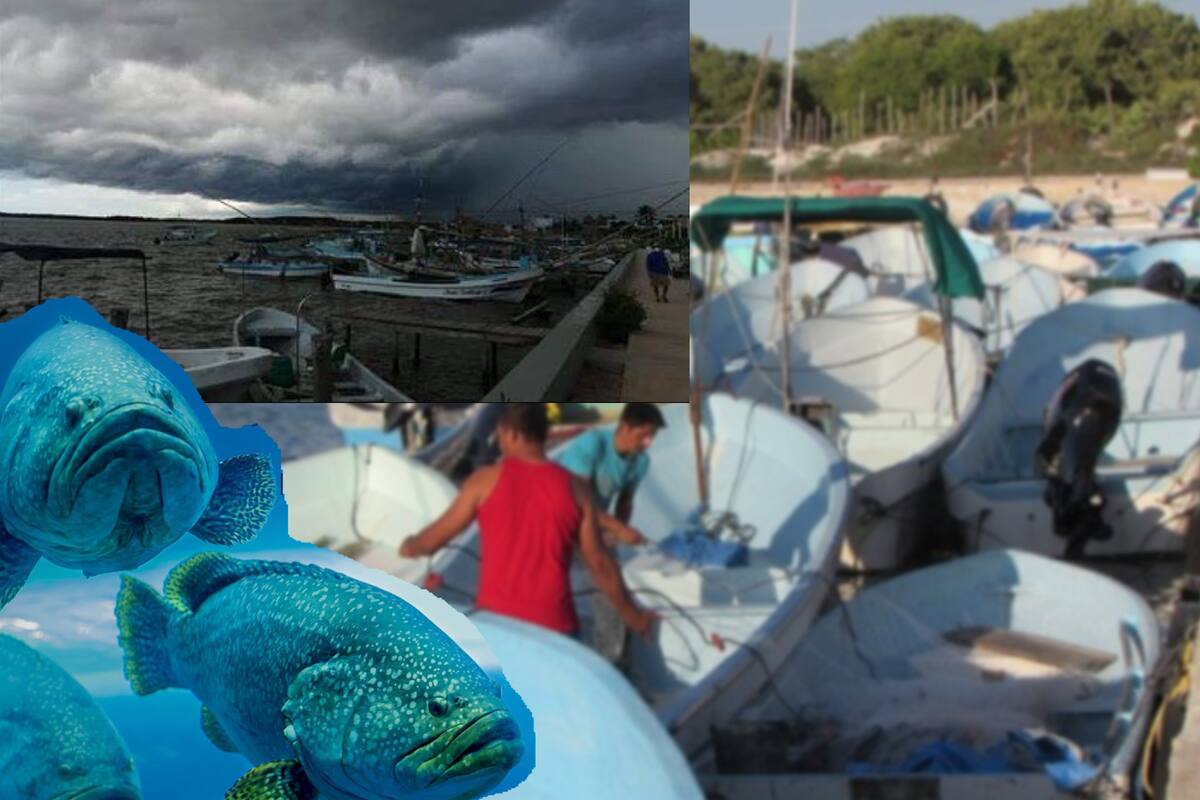 Frentes fríos paralizan pesca en Mérida, Yucatán