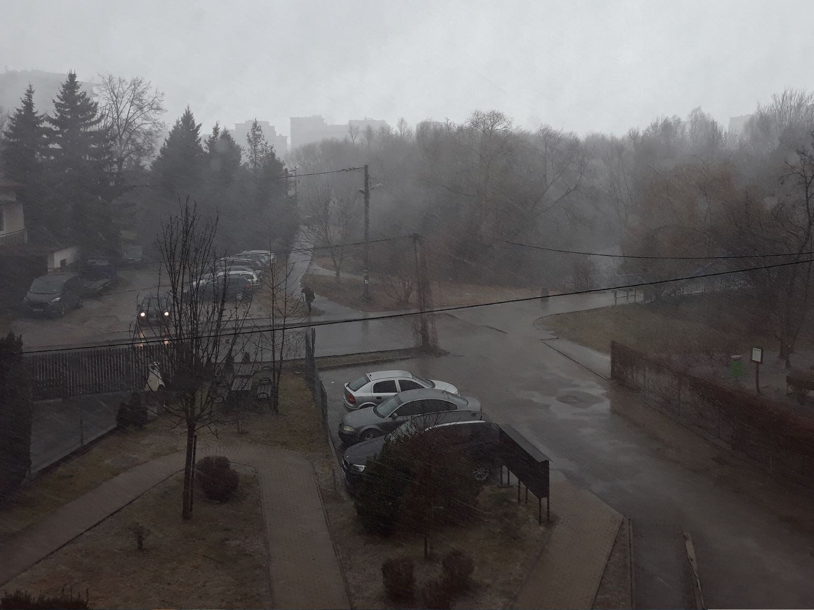 Frente frío 11 provoca heladas, lluvias y fuertes vientos en México: SMN. | Crédito: Canva