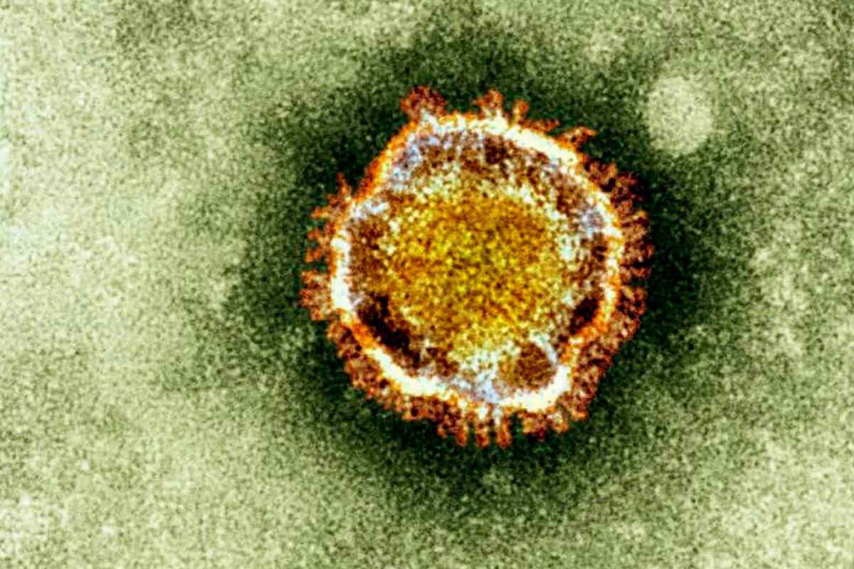 Presumen primer caso de coronavirus en frontera de EU con Nogales
