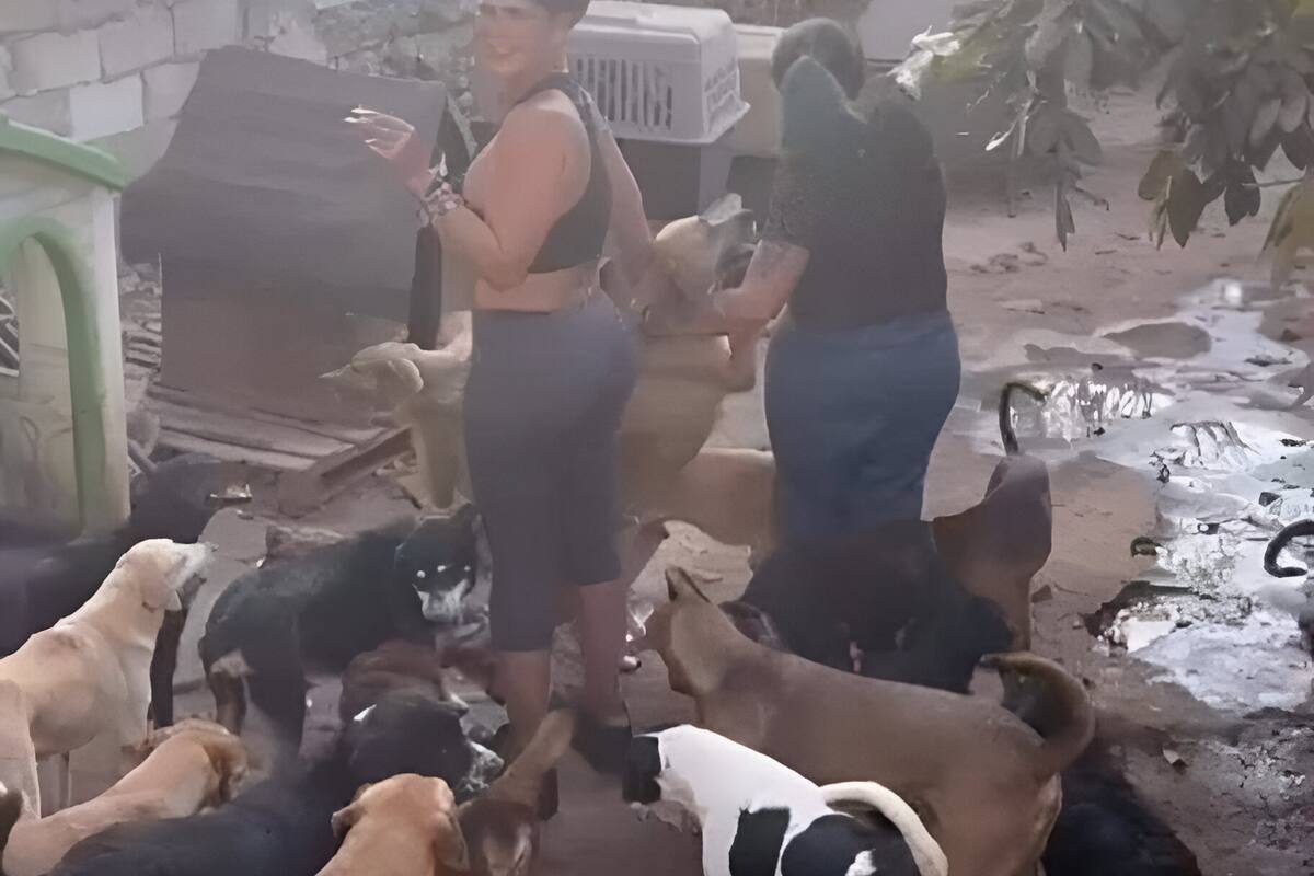 Niurka Marcos es acusada de sacrificar perros para rituales de santería