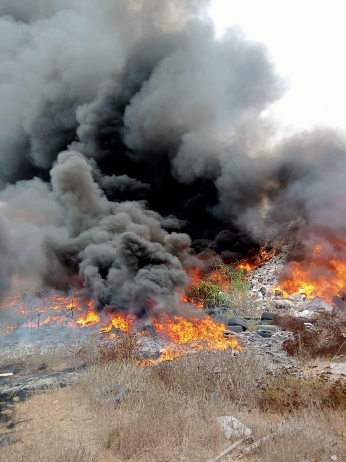 Foto: Carmen Gutiérrez