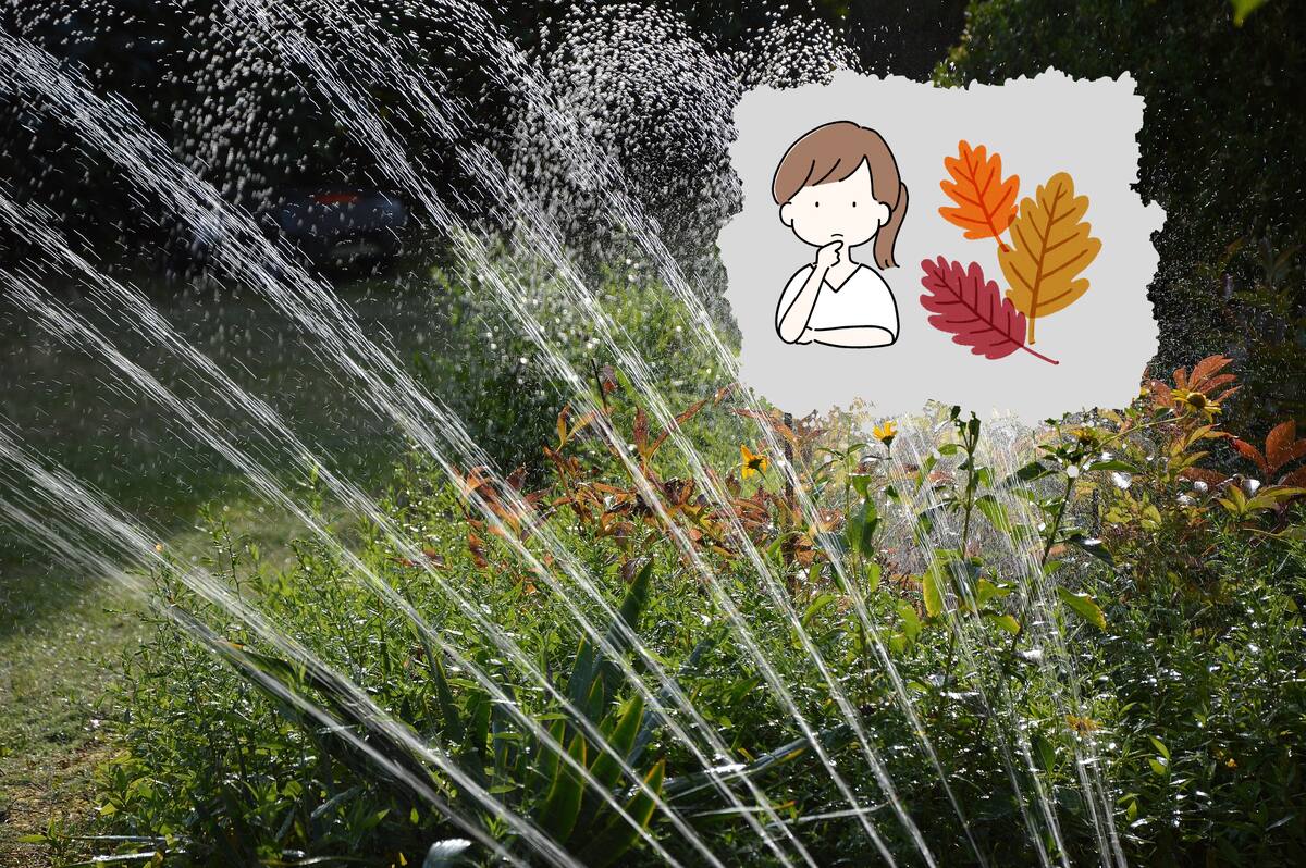 El otoño es una temporada de transición que trae consigo cambios significativos en el ambiente, y esto se refleja en el cuidado de nuestras plantas. Foto: Pixabay/Canva