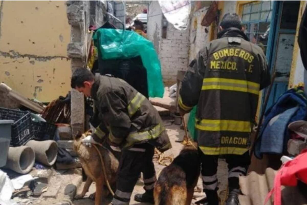 Perros atacan a niña dentro de su casa en Ixtapaluca