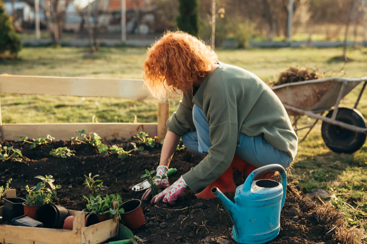 Los múltiples beneficios de practicar la jardinería