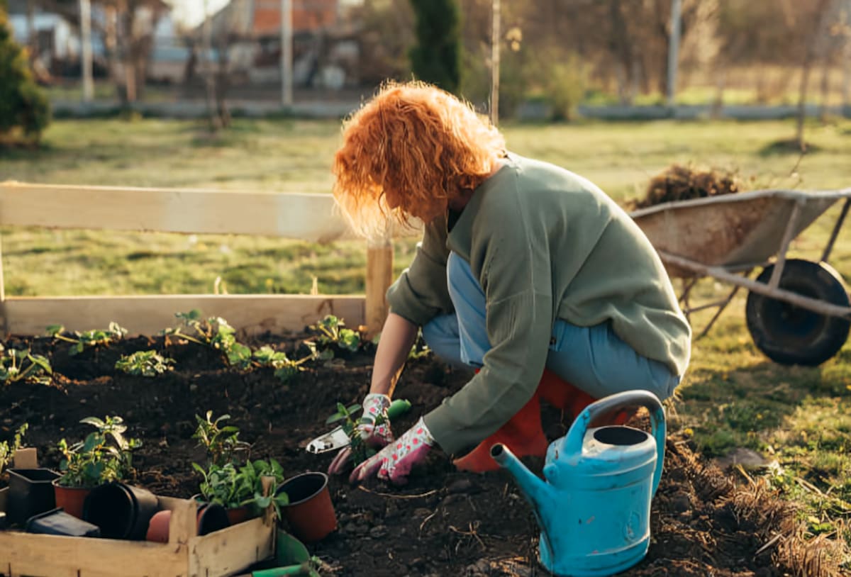 Los voluntarios trabajarán 25 horas semanales durante una estancia de entre 10 días y dos semanas, con alojamiento gratuito, tres comidas al día y dos días libres por semana. Foto: Especial (iStock)