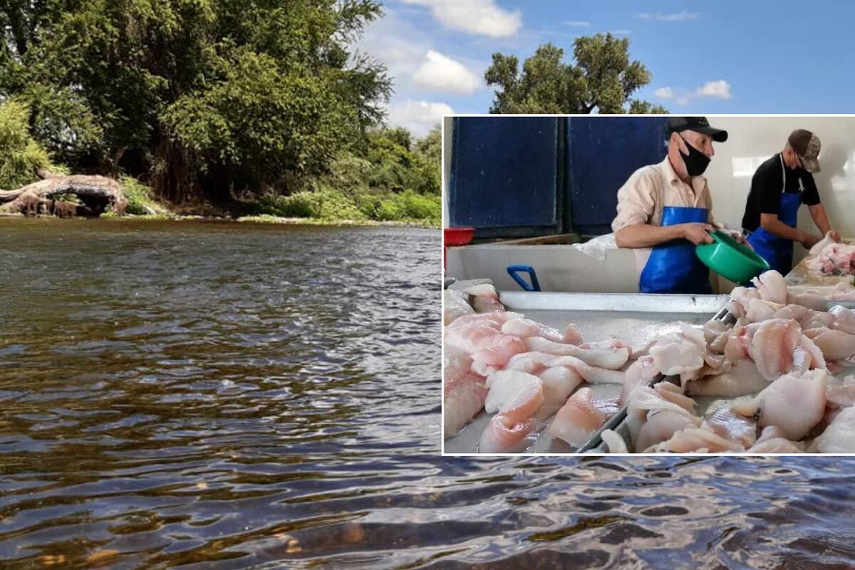 Aumentan ventas de pescado y mariscos en vacaciones