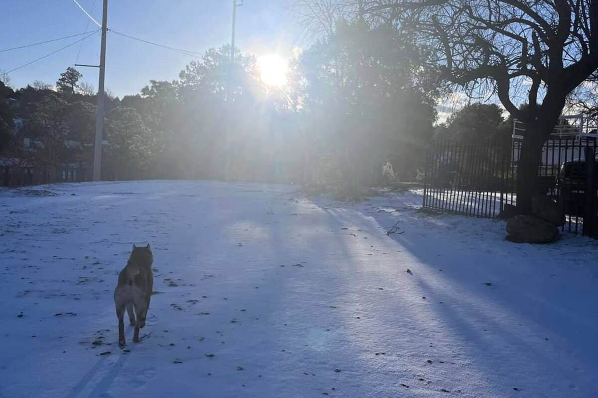 Clima en Sonora: Esperan probable tormenta invernal para el domingo