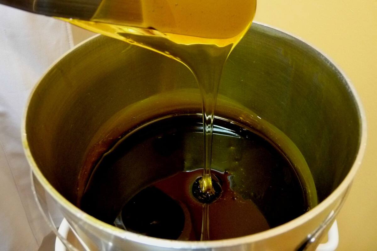 Depilación: Cómo evolucionó en la historia