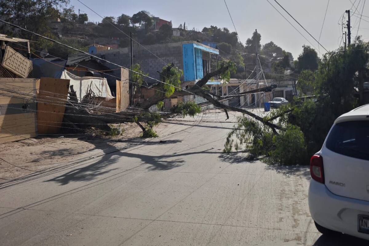 Generan vientos de Santa Ana, 200 incidentes en Tijuana