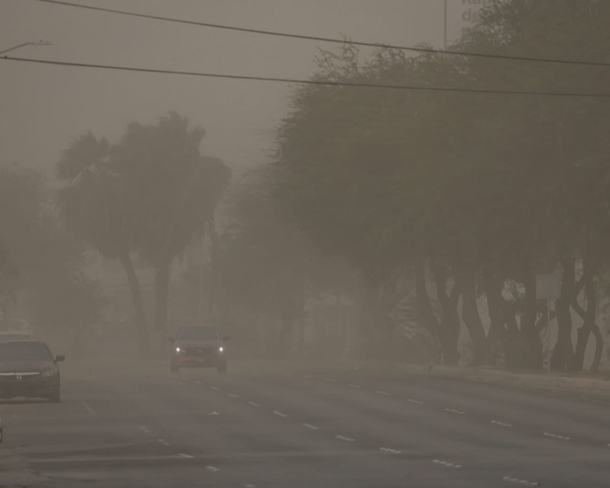 Las fuertes ráfagas de viento derribaron postes y árboles en distintos puntos de Mexicali, además de provocar apagones y complicaciones para la circulación. Foto: Said Morones.