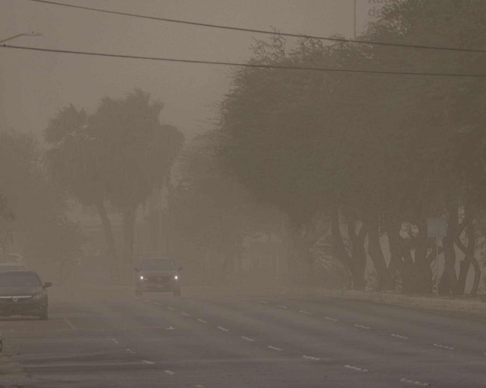 Las fuertes ráfagas de viento derribaron postes y árboles en distintos puntos de Mexicali, además de provocar apagones y complicaciones para la circulación. Foto: Said Morones.
