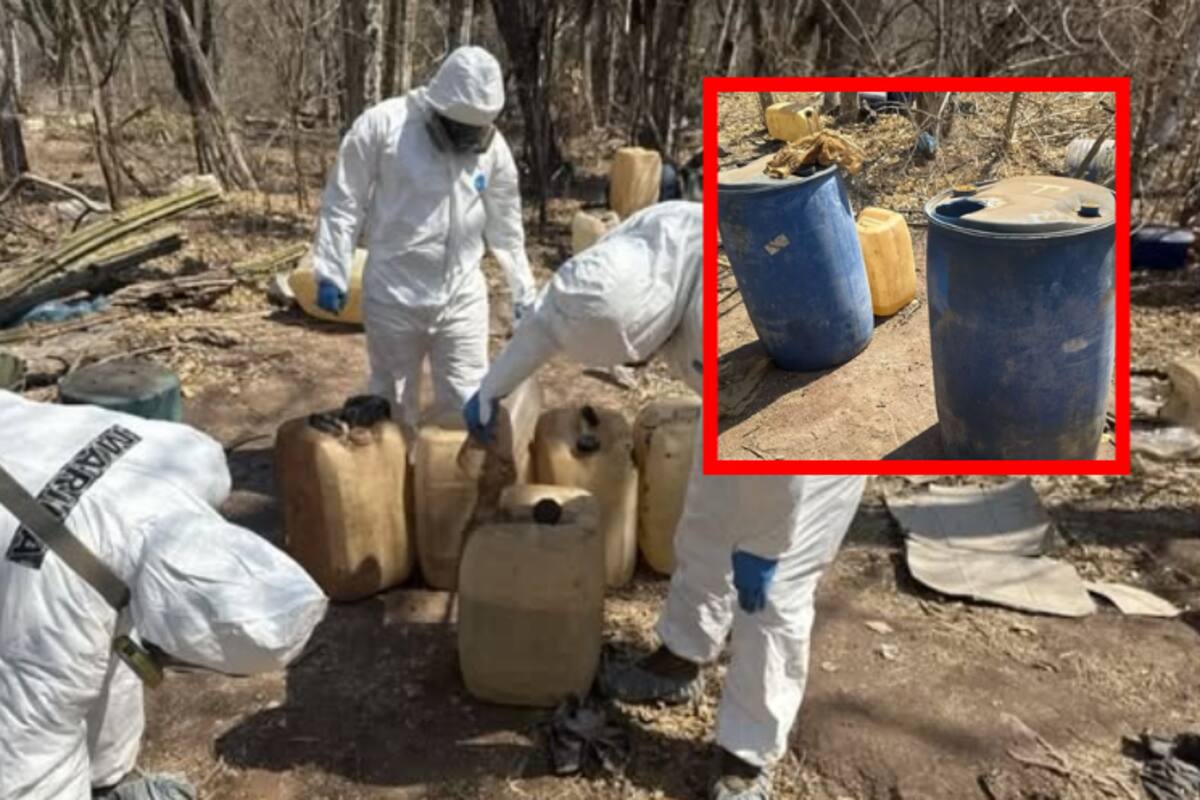 Autoridades federales y estatales desmantelan laboratorio clandestino en Culiacán