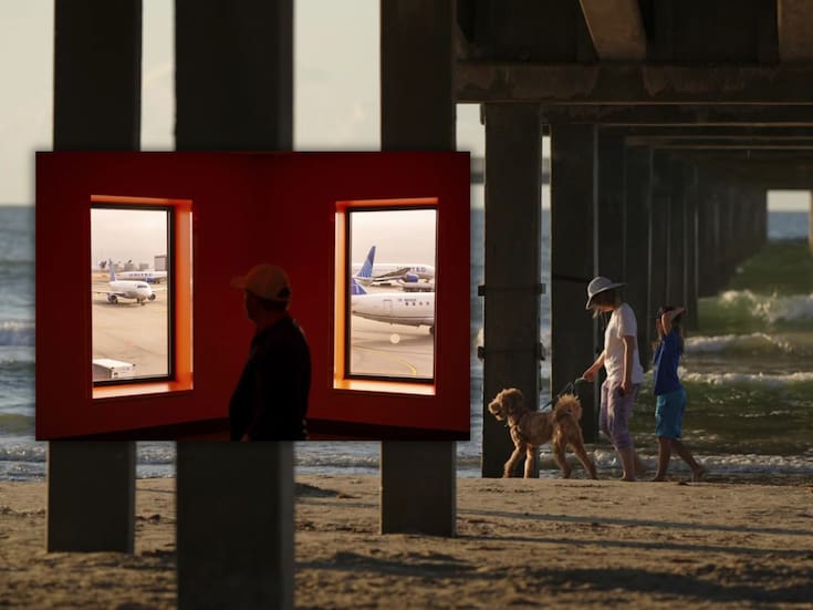 No tener un perro, evitar vuelos y usar autos eléctricos son las 3 mejores formas para cuidar el medio ambiente: Estudio