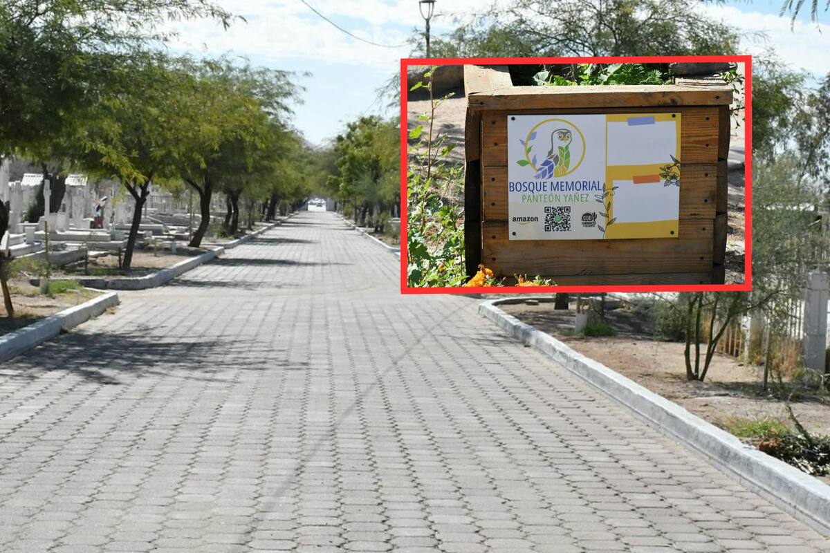 Organizan actividad infantil para promover el cuidado de la flora y fauna en el Bosque Memorial Yáñez
