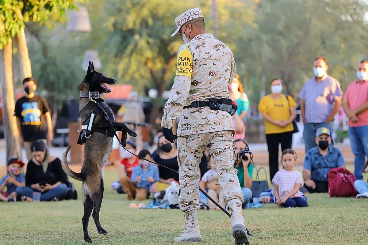 Ejército Mexicano realiza demostración de adiestramiento de binomios caninos en Hermosillo