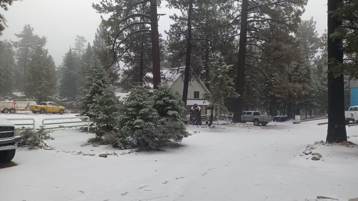 Protección Civil compartió imágenes de los paisajes nevados en el Parque Nacional, reconocido por su cielo limpio, biodiversidad y el Observatorio Astronómico Nacional. Foto: Cortesía