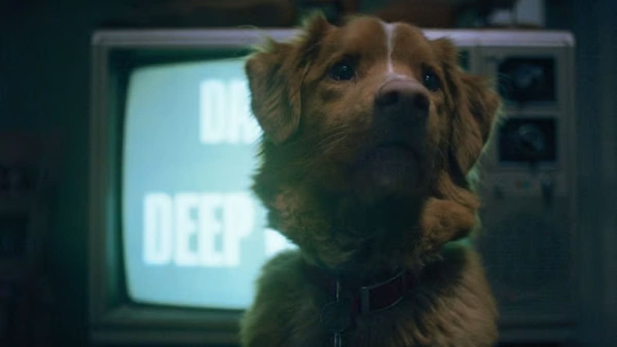 Indy, el perro protagonista de Good Boy, enfrenta fuerzas sobrenaturales en esta original película de terror que llega a cines en octubre de 2025.