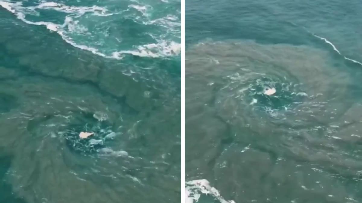 Impresionante remolino marino captado en Puerto Escondido, Oaxaca, asombra a turistas y surfistas mientras salvavidas alertan por corrientes que arrastran nadadores