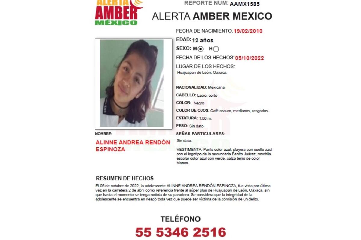 Video muestra como 3 personas se llevan a Alinne adolescente de 12 años desaparecida en Oaxaca
