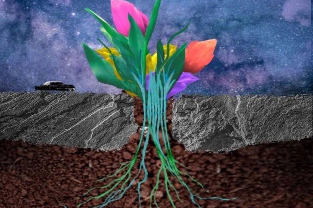 Exposición colectiva ‘Semillas de diversidad’ llega al Ceart-Tijuana