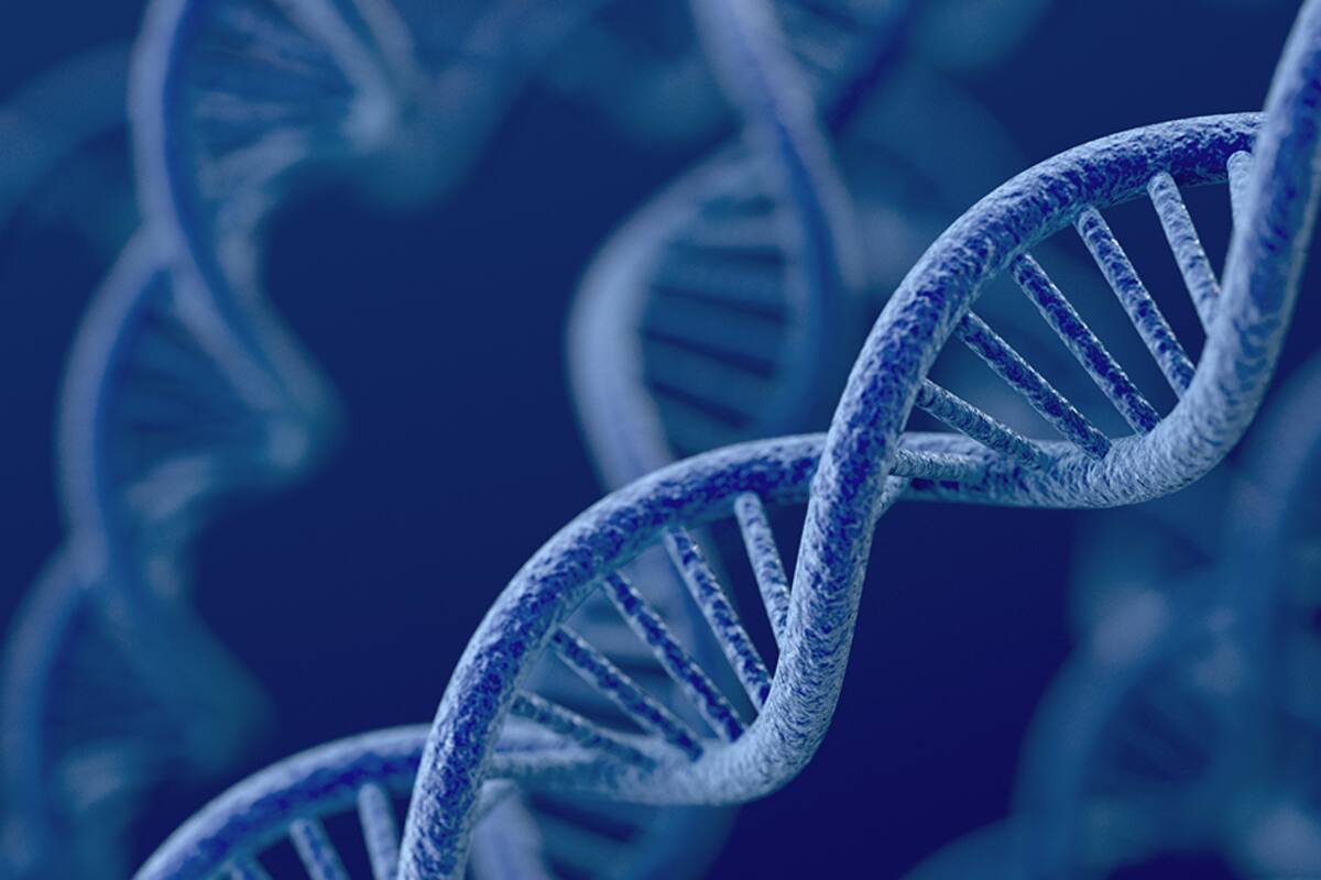 El papel de los genes en la psicología: ¿Qué influencias esconden?