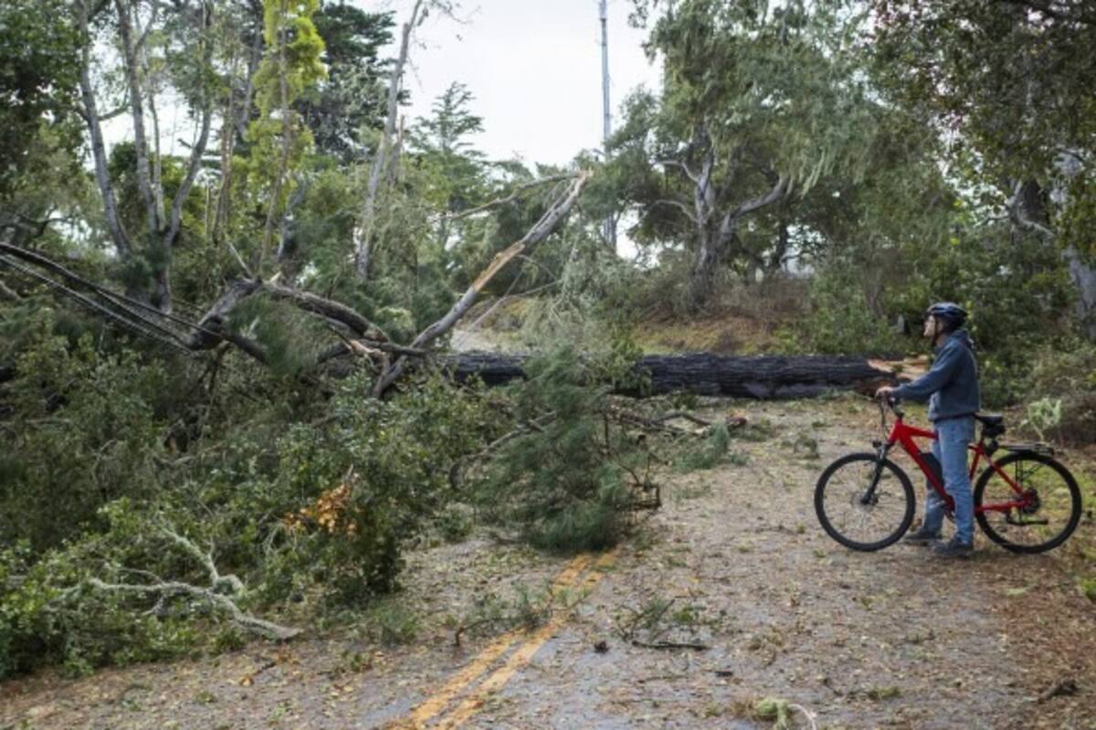 Daños en EU tras fuertes tormentas en el país. Foto: AP