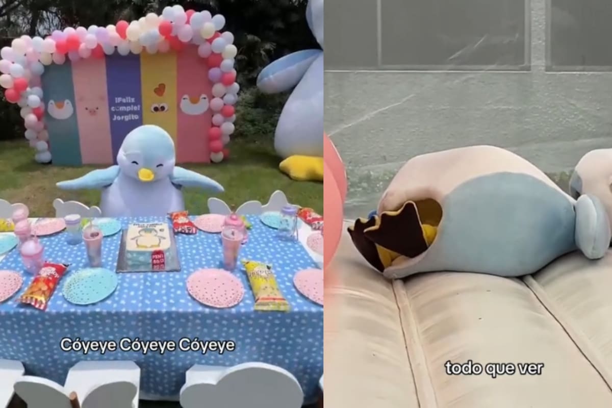 Niño causa sensación por su fiesta de cumpleaños: pasó toda la fiesta en una botarga de pingüino