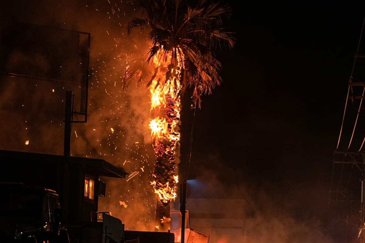 Ataque con presunto explosivo contra comandancia de Ojocaliente, Zacatecas, deja siete personas heridas y obliga a cancelar feria, coronación y clases
