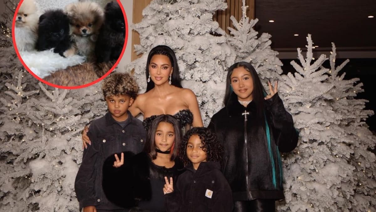 Kim Kardashian regaló cuatro cachorros Pomerania a sus hijos en Navidad; PETA reaccionó con un llamado público y pidió promover la adopción y el cuidado responsable