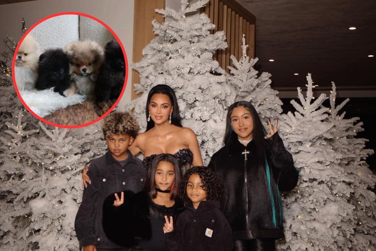 Kim Kardashian regaló cuatro cachorros Pomerania a sus hijos en Navidad; PETA reaccionó con un llamado público y pidió promover la adopción y el cuidado responsable