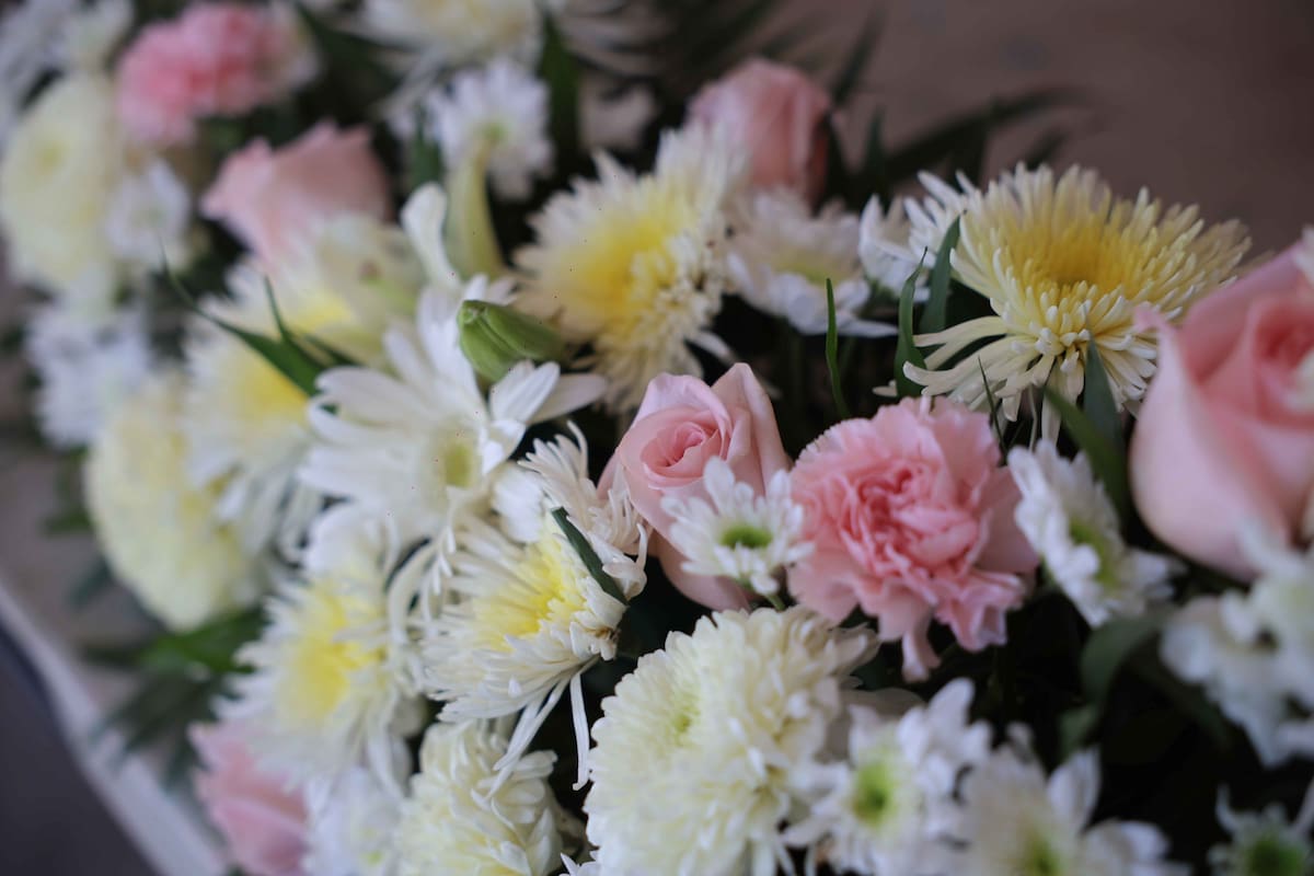 Floristas del centro de Ciudad Obregón prevén repunte de hasta 80% en ventas por el Día de San Valentín