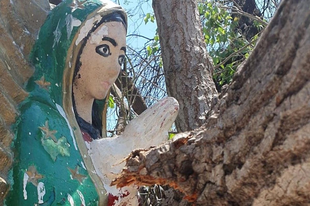 Álamo derriba capilla e imagen de la virgen de Guadalupe queda intacta