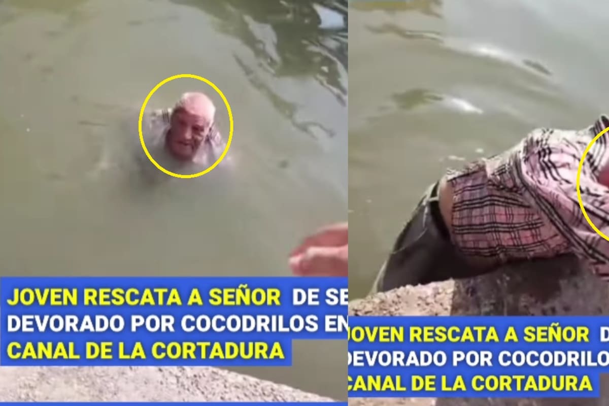 Joven rescata a adulto mayor que cayó en el Canal de la Cortadura; entró al agua por pena y pudo ser atacado por cocodrilos