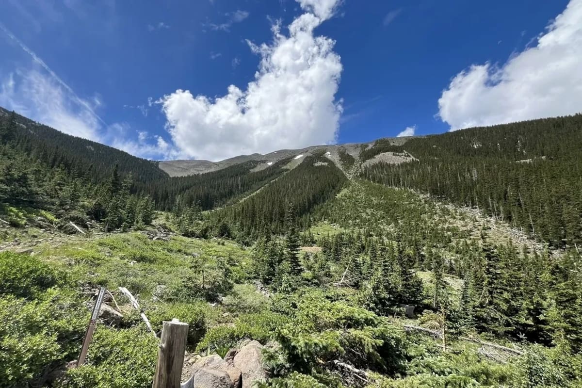 Flagstaff: el destino ideal para escapar del calor este verano