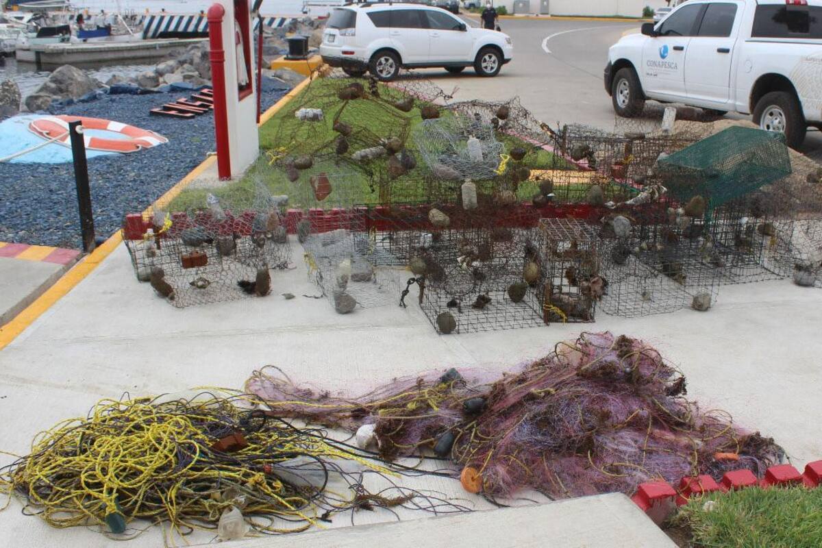 Autoridades Federales aseguran 51 trampas ilegales de langosta en Ensenada