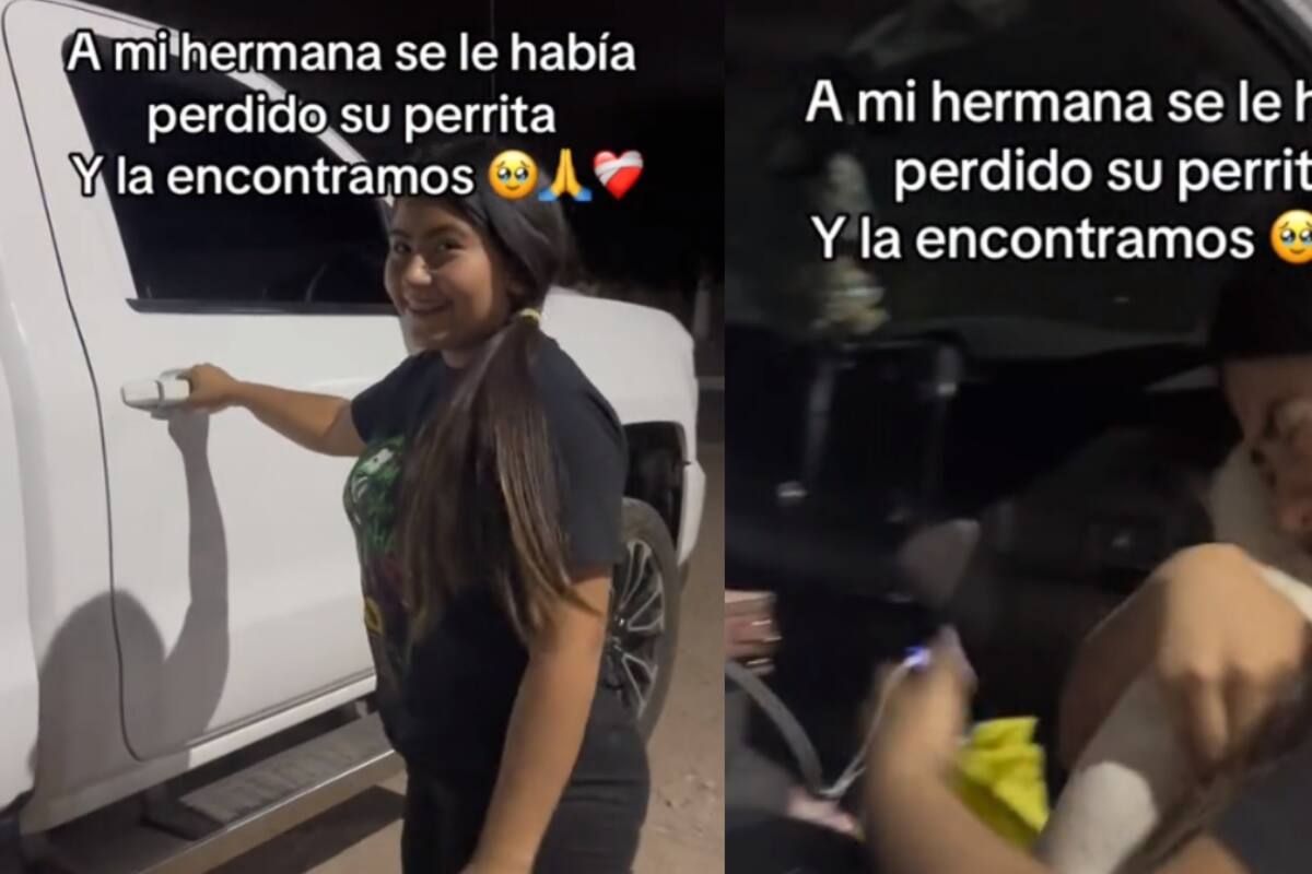 Joven encuentra al perro perdido de su hermana: mira su reacción tras el conmovedor reencuentro