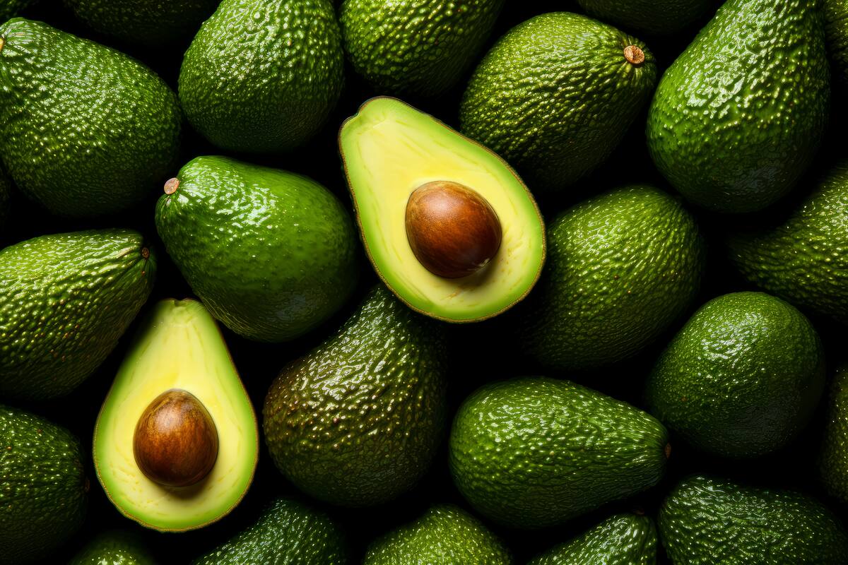 Este es el alto costo de los precios del aguacate en México, según la Profeco
