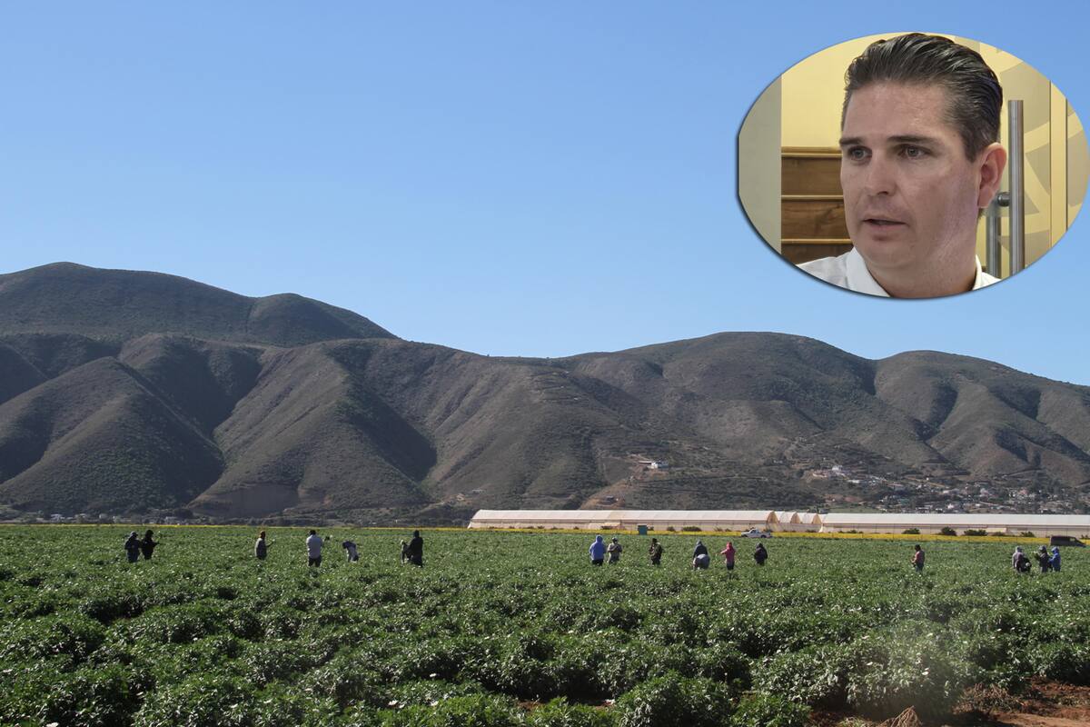 Exportaciones agrícolas siguen normales: CABC