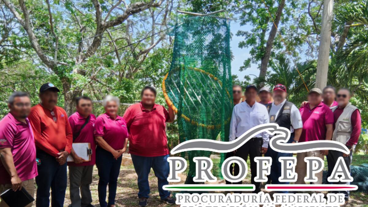 Profepa capacita a pescadores camaroneros en Campeche para evitar la muerte de tortugas marinas