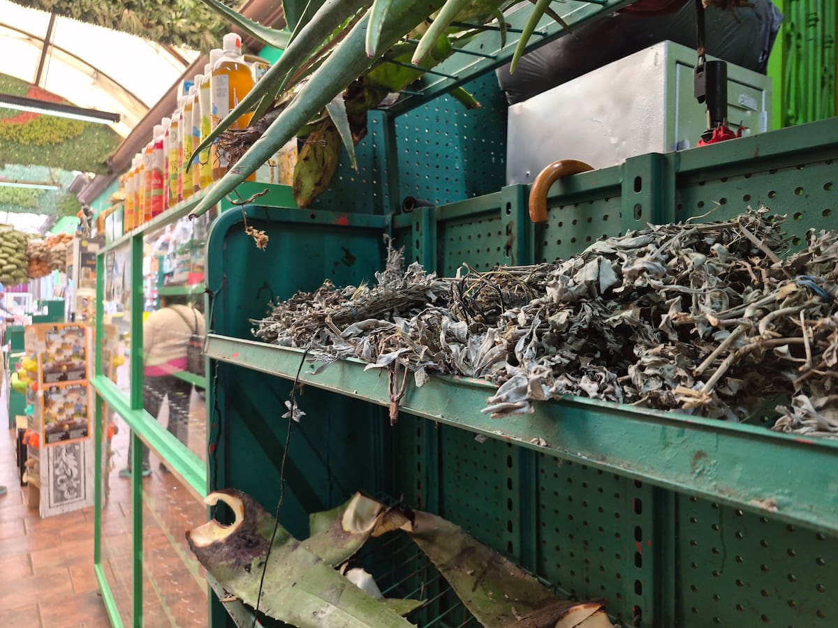 Comerciantes indicaron que también persiste la consulta por hierbas e imágenes religiosas, con precios que varían según tamaño y presentación. Foto: Michelle Castillo