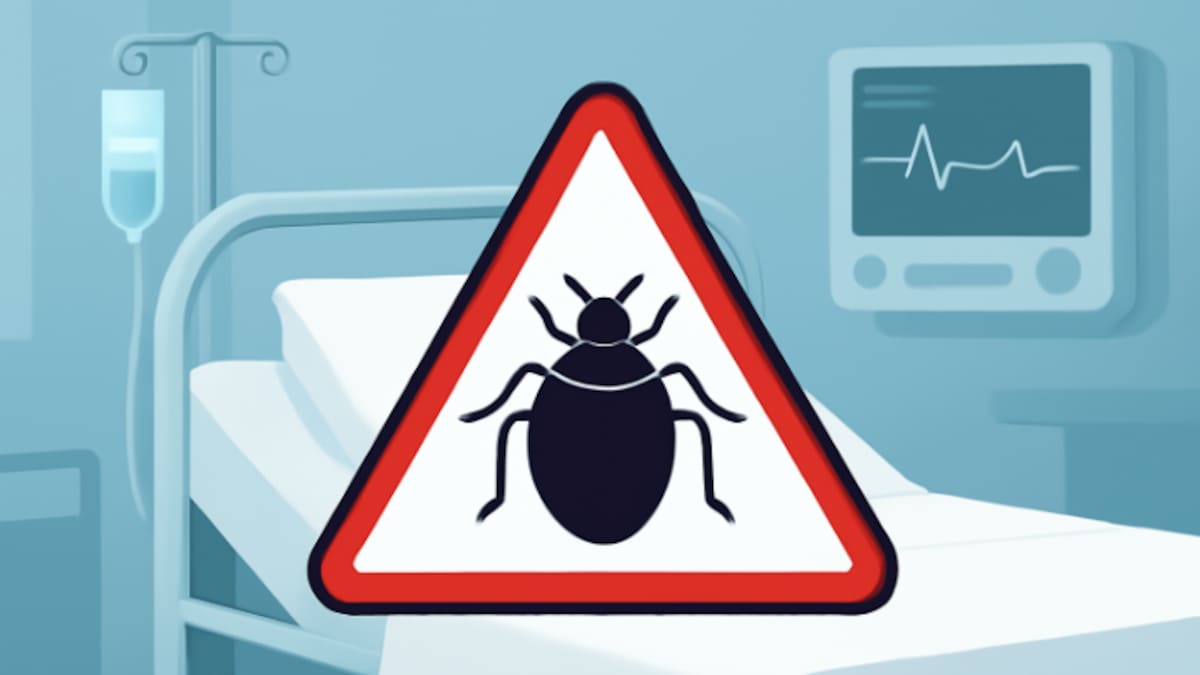 Detectan chinches en hospital de Neurología en CDMX; cierran área de urgencias para fumigación intensiva y trasladan pacientes tras brote confirmado por personal médico