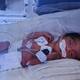 Celebran que Derek sobrevivió a un nacimiento prematuro
