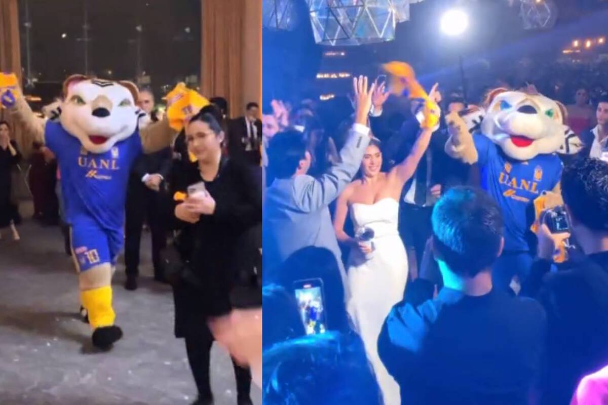 VIDEO: Mascota de Tigres es ‘padrino’ en boda regia