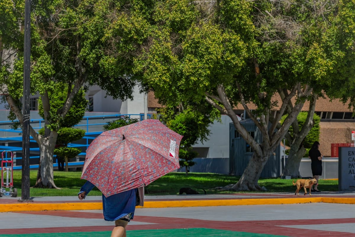 Suman cinco afectados por calor en BC; Mexicali alcanzó hasta los 37 grados esta semana