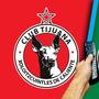 Xolos vs Santos: ¿A qué hora y dónde ver EN VIVO el partido de hoy por la Jornada 14 de la Liga MX?