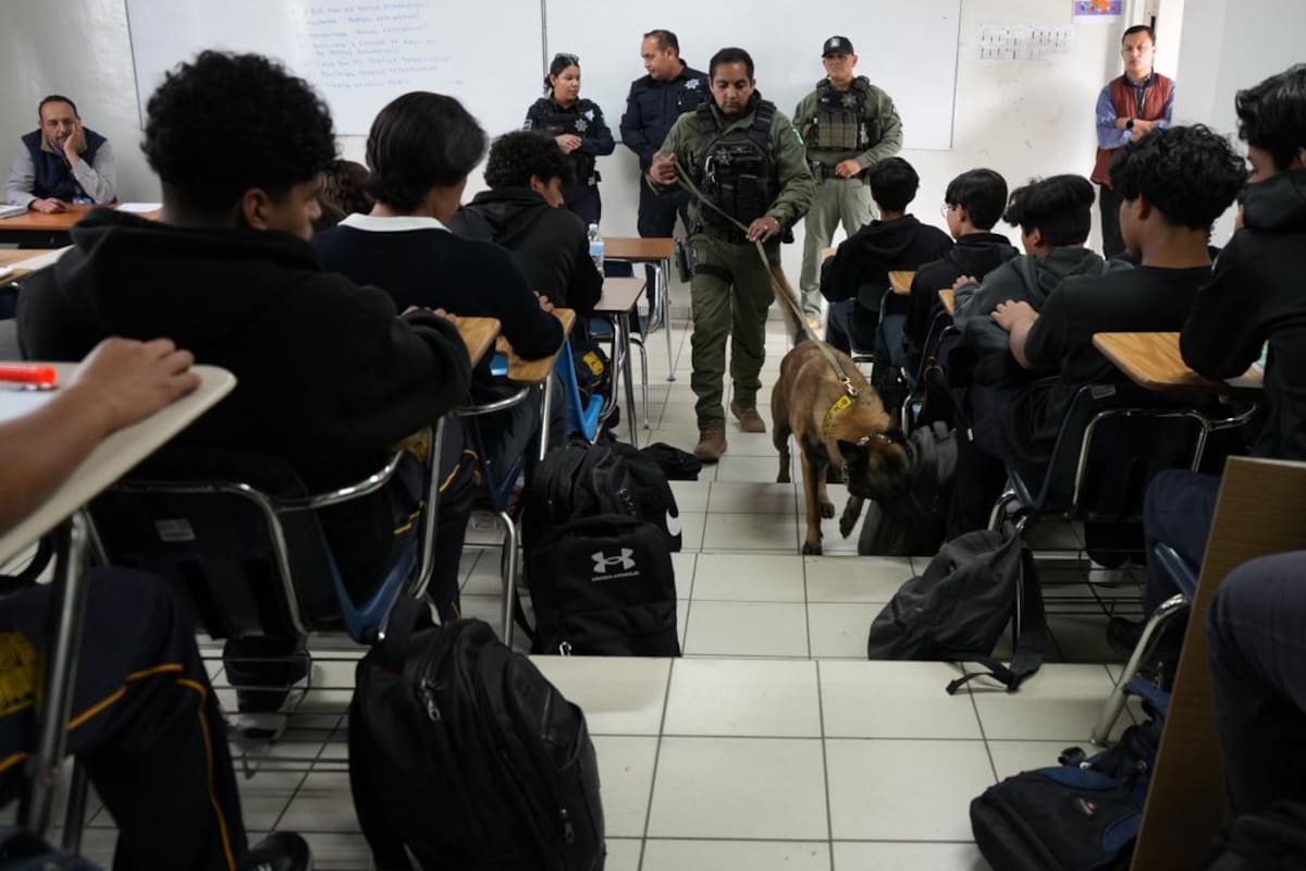 Refuerzan vigilancia en escuelas de Tijuana tras alertas en redes sociales