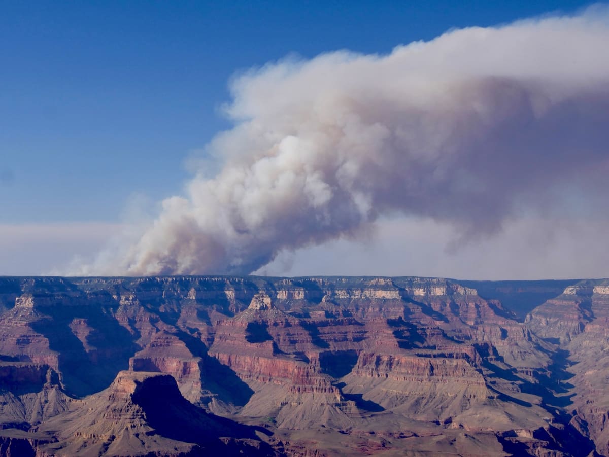 Aunque Bright Angel Trail es considerado el sendero más popular para adentrarse en el Gran Cañón, el NPS advierte que su aparente accesibilidad puede ser engañosa. Bajar suele ser más rápido que subir, pero el regreso exige mayor esfuerzo físico, especialmente con calor. Foto: @GrandCanyonNPS en X.