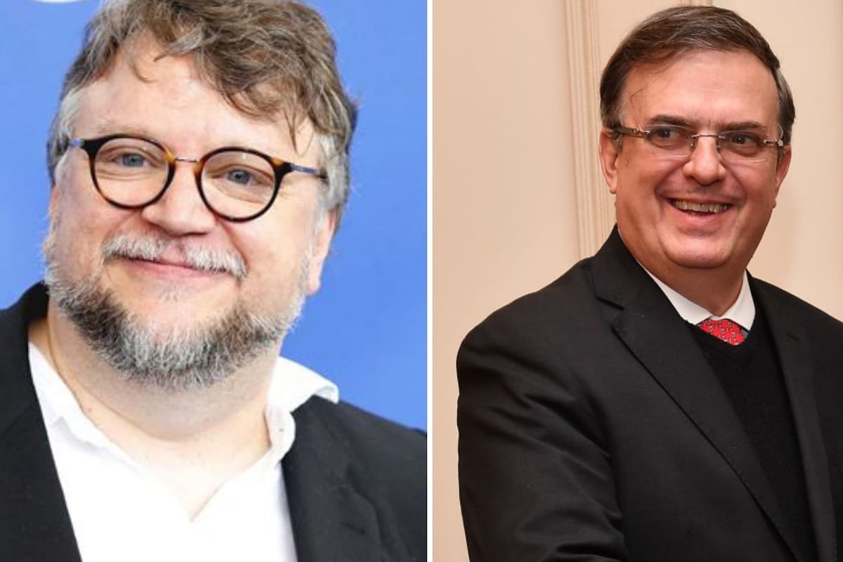 Guillermo del Toro ayuda a Nicolás Celis para que no se lleven a sus sobrinas de México
